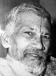 Samudrala Raghavacharya ( Samudrala Sr )
